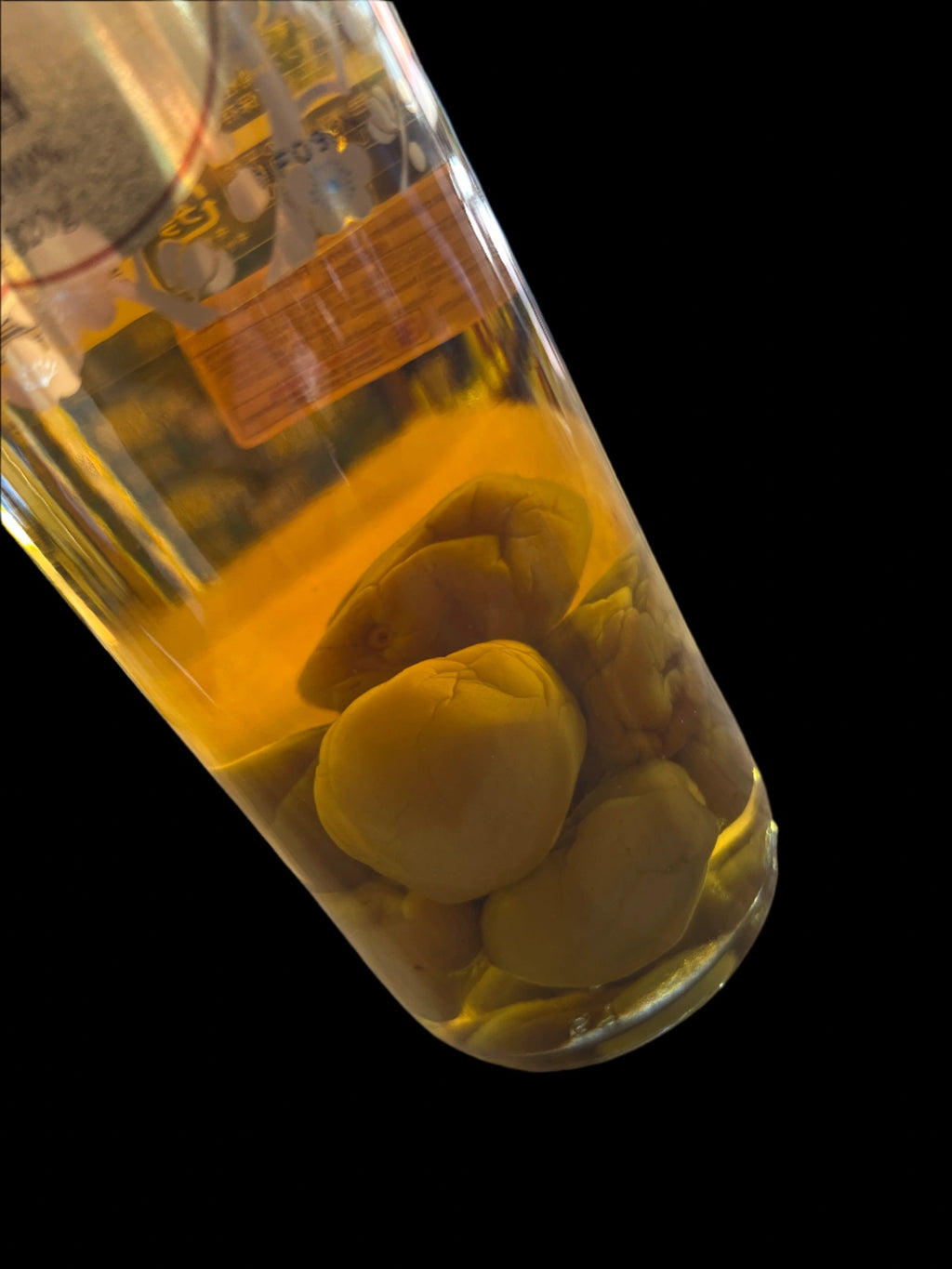 [Liqueur] CHOYA Golden Umeshu 650ml