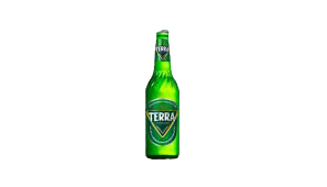 TERRA Bottle 330ml