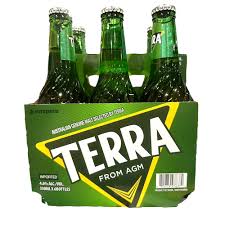 TERRA Beer 330ml x 6bottles